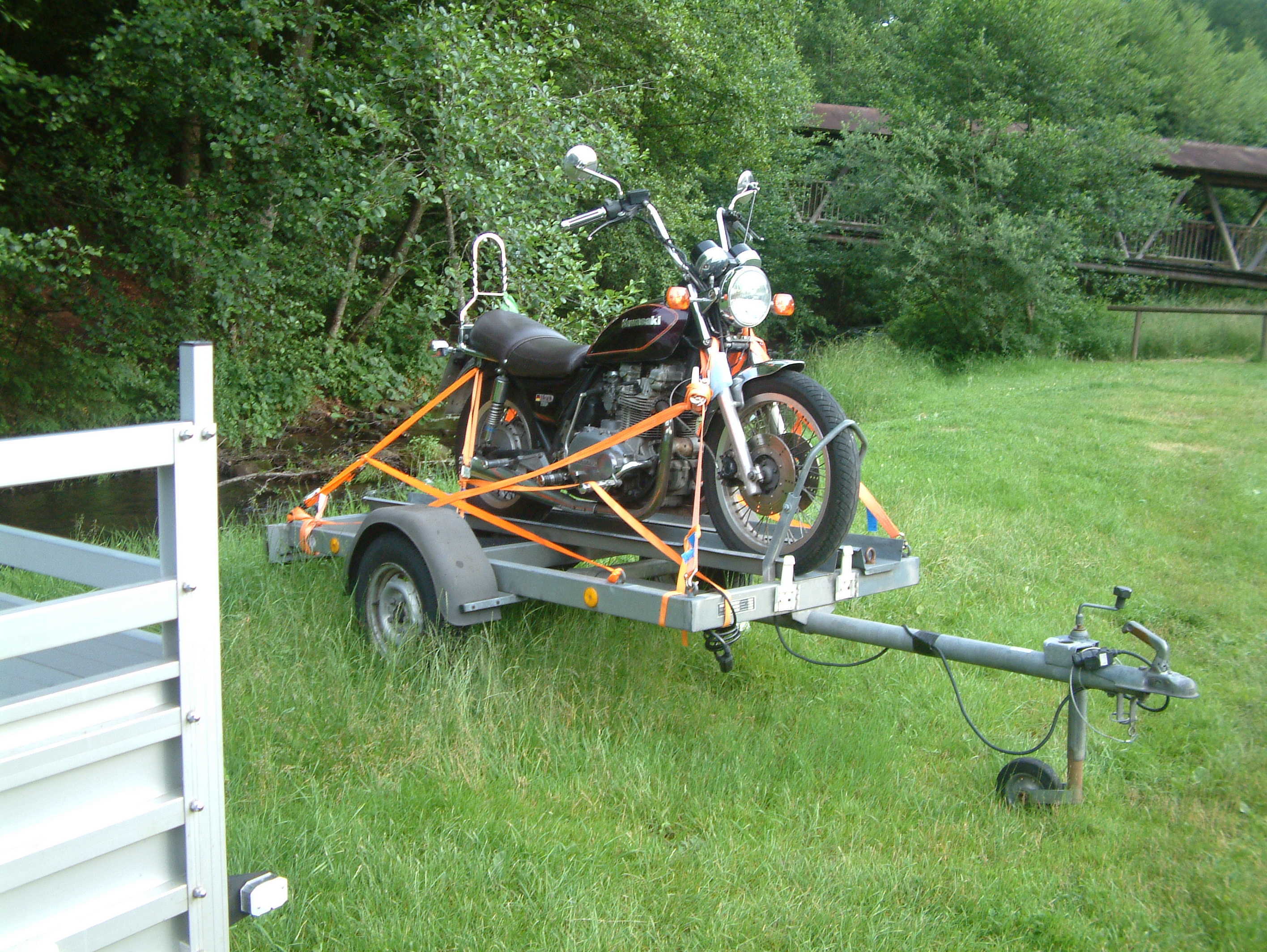Ein Foto