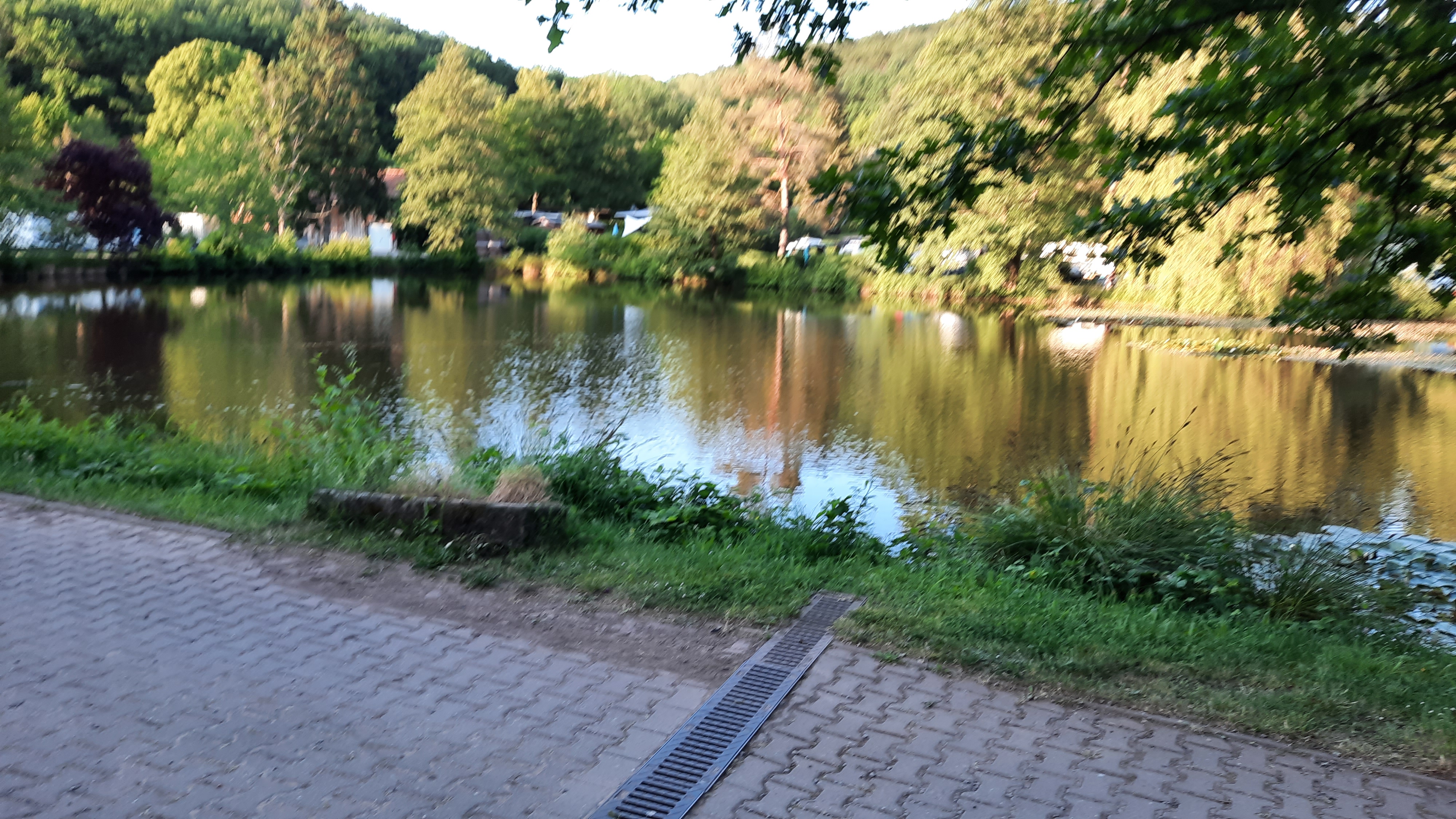 Ein Foto
